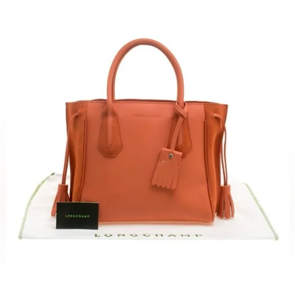 Longchamp Orange Leather and Suede Penelope Fantaisie Tote (Large) - Picture 5 of 5